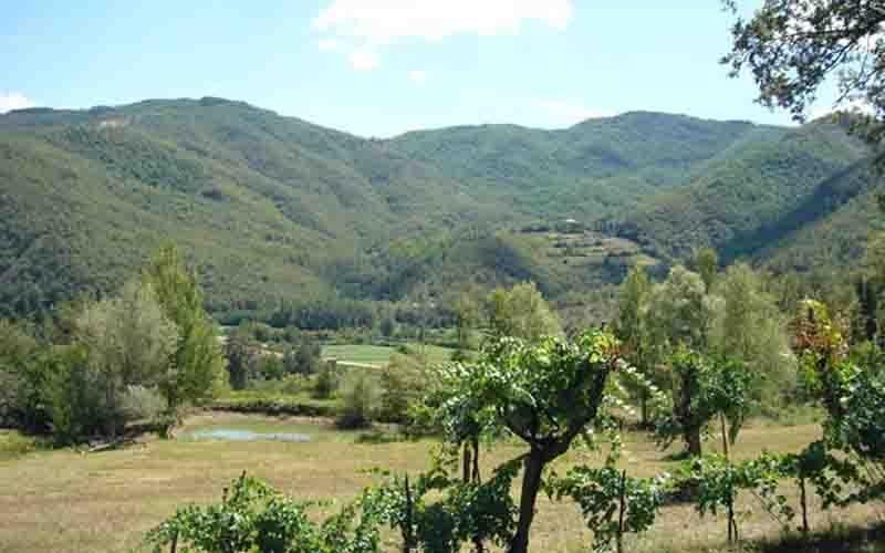 Villa Il Corniolo Morra Esterno foto